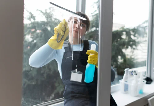 Nettoyage de vitres intérieures et extérieures à Moumour